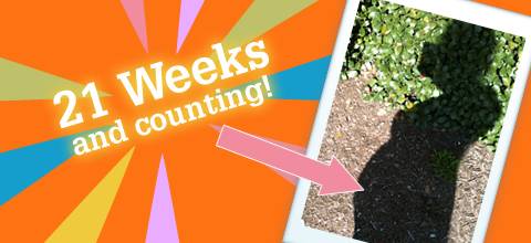 21-weeks
