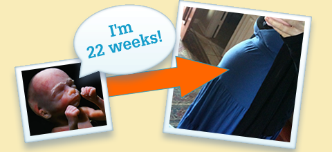 22weeks