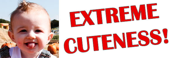 extreme cuteness