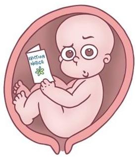 maternity leave