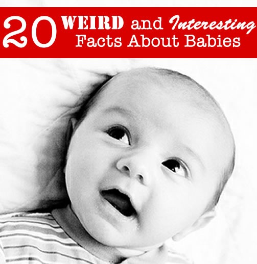 Babies Are Weird Interesting Creatures