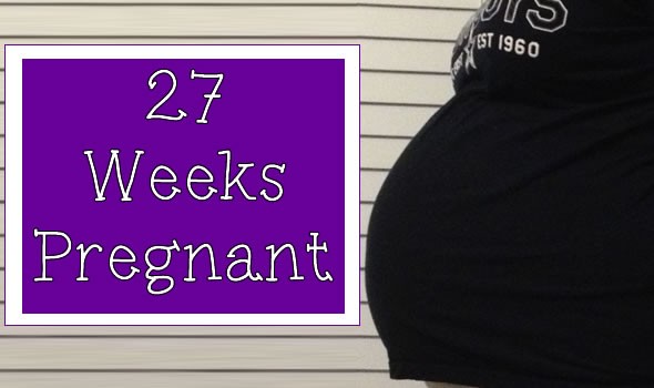 27 Weeks Pregnant – Hump Day Bump Day 