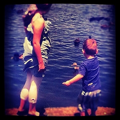 feeding ducks feeding ducks