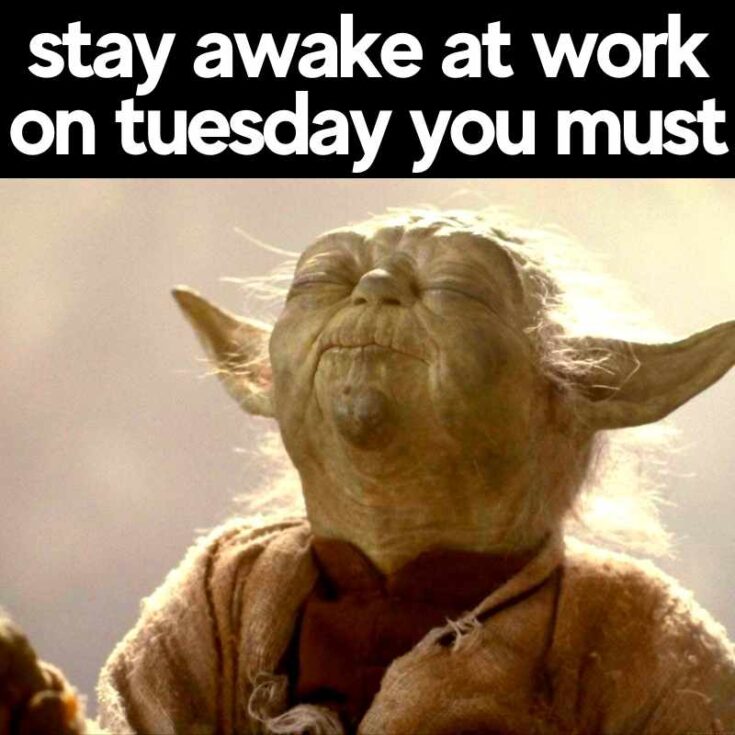 Best Tuesday Memes 20 Funny Images You Must Share Best Tuesday Memes 20 Funny Images You Must Share