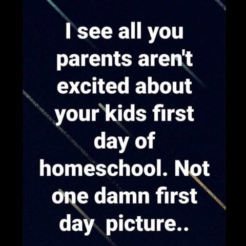 30 Funny Homeschool Memes And Remote Learning Humor