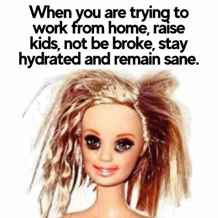 70 Funny Work From Home Memes About WFH Life