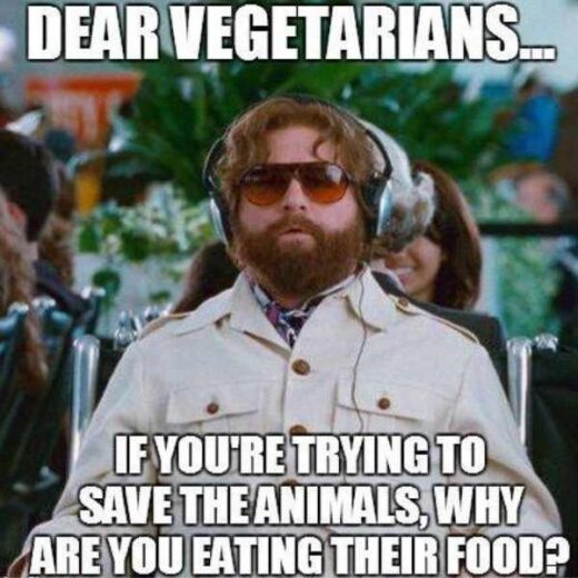 Vegan Memes - 15+ Funny Memes For Vegetarians