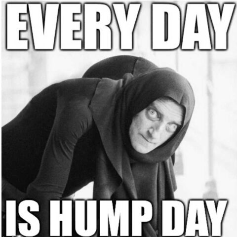 20 Hump Day Memes To Help You Laugh Thru Wednesday - Digital Mom Blog