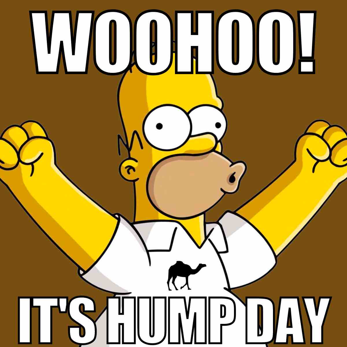 30 Hump Day Memes To Help You Laugh Thru Wednesday 30 Hump Day Memes To Help You Laugh Thru Wednesday