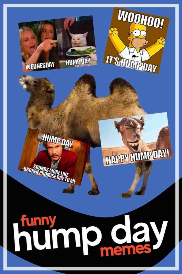 30 Hump Day Memes To Help You Laugh Thru Wednesday