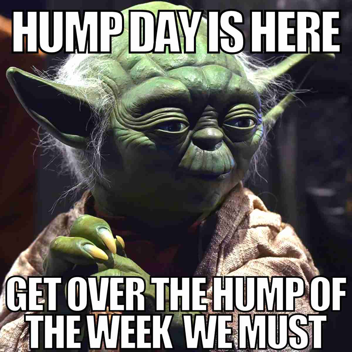 30 Hump Day Memes To Help You Laugh Thru Wednesday All For One 30 Hump Day Memes To Help You Laugh Thru Wednesday All For One