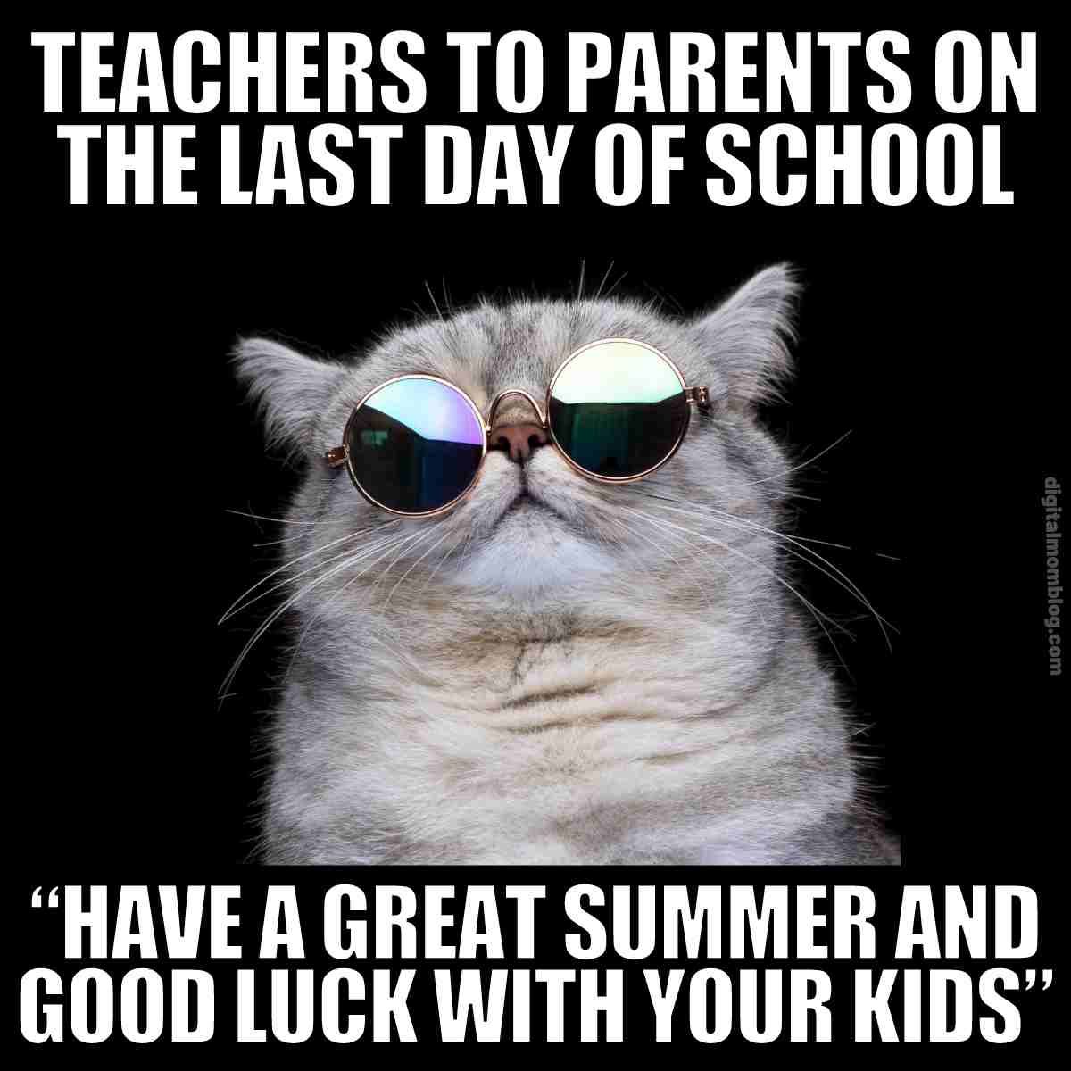 15 Best Last Day Of School Memes For Teachers And Students