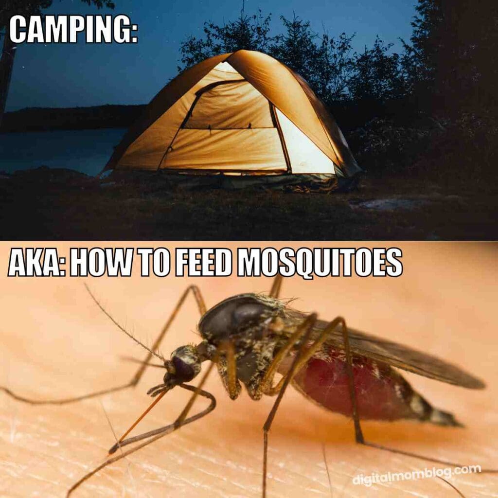 20 Funny Mosquito Memes For Bite Victims