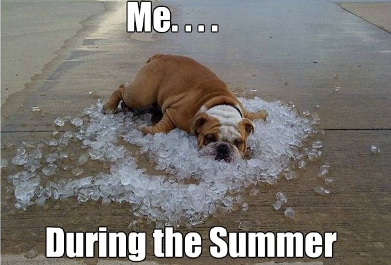 35 Sizzling Hot Weather Memes For Beating The Summer Heat 35 Sizzling Hot Weather Memes For Beating The Summer Heat