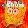35 Hot Weather Memes Laughing At High Temps And Summer Heat