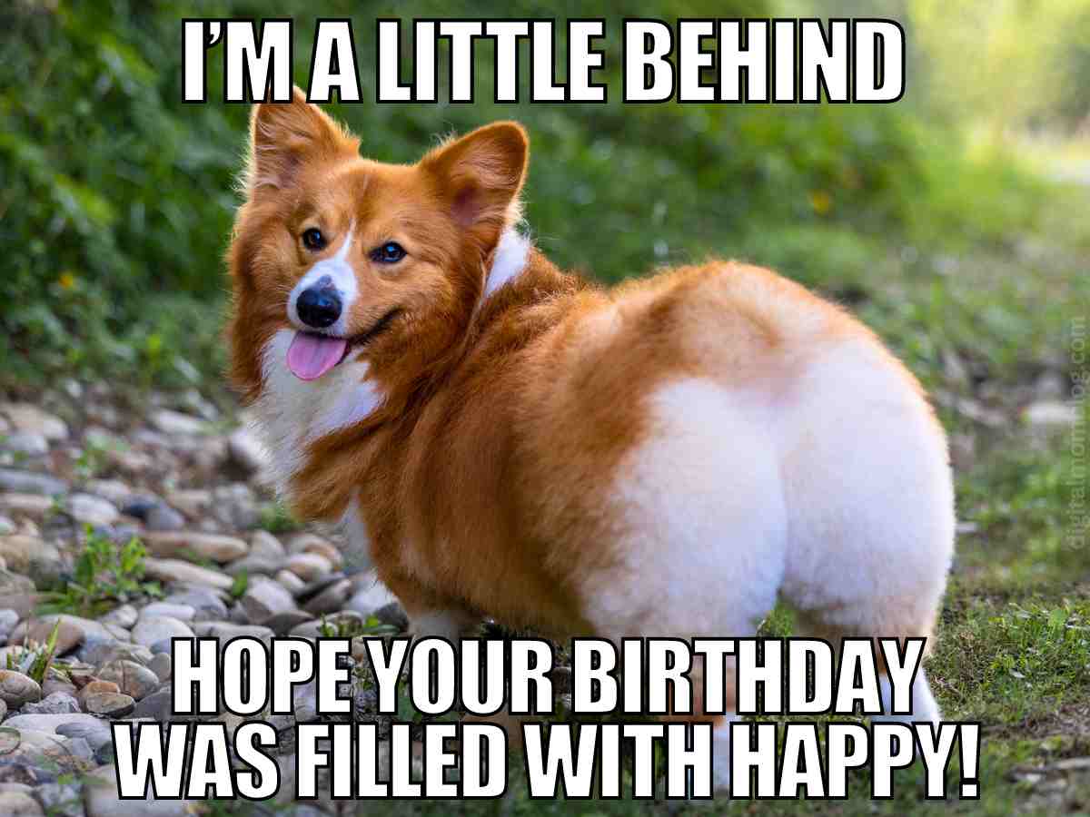 35 Happy Belated Birthday Memes Images For People Who Forget 35 Happy Belated Birthday Memes Images For People Who Forget