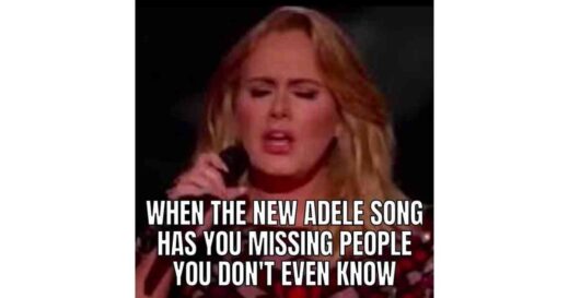 20 Best Adele Memes & Facts About This Beloved Singer