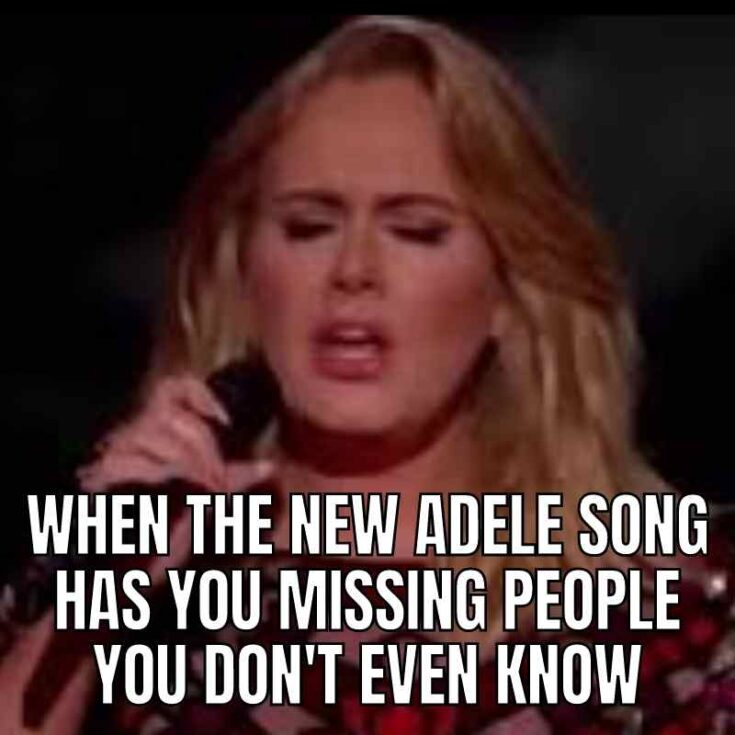 20 Epic Adele Memes That Hit Harder Than A Breakup Ballad
