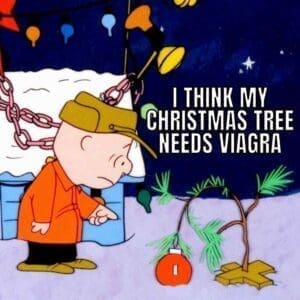 25 Funny Christmas Tree Memes For Sharing