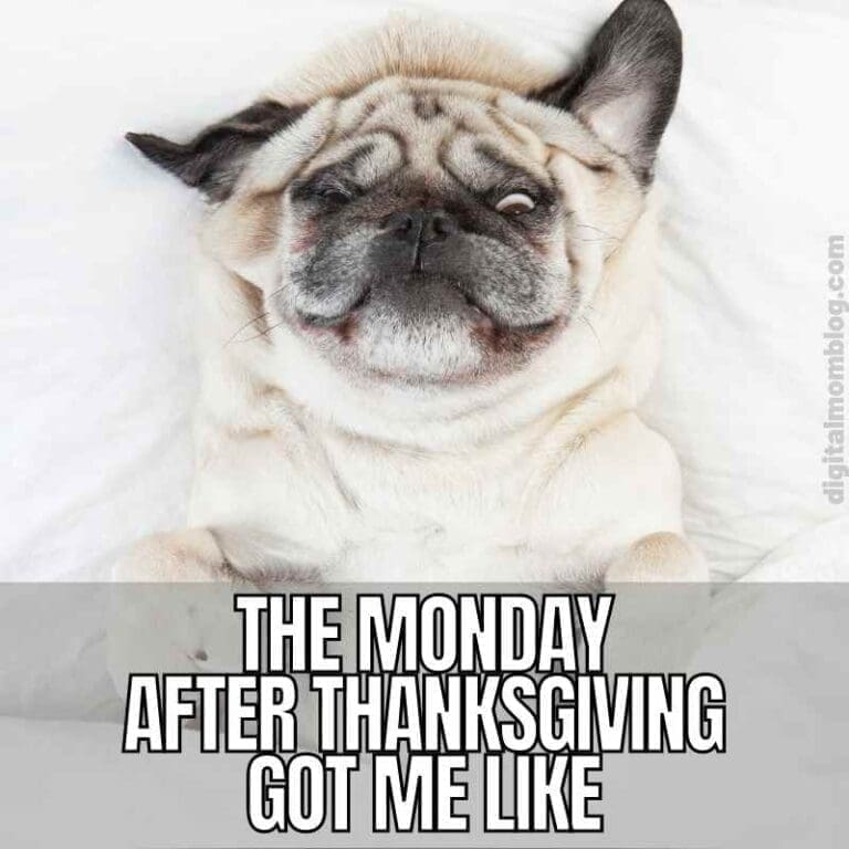 Exciting Monday After Thanksgiving Meme Images