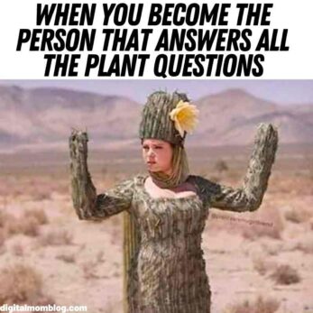 40 Plant Memes That’ll Grow On You (Literally And Emotionally)