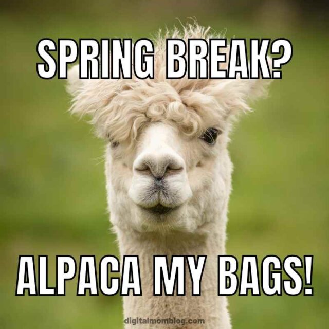 Spring Activity Meme 50 Funny Spring Memes To Have You Laughing All Season Long