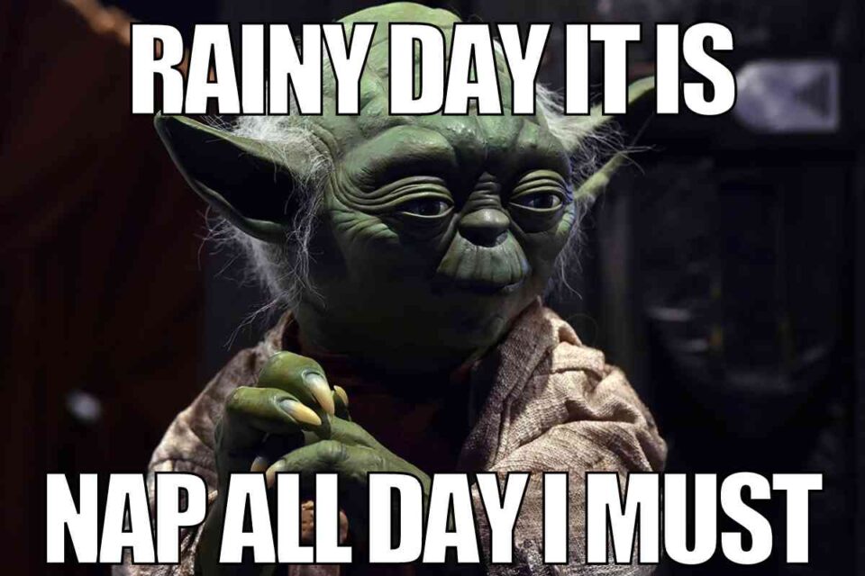 35 Funny Rain Memes To Shower You With Chuckles 35 Funny Rain Memes To Shower You With Chuckles