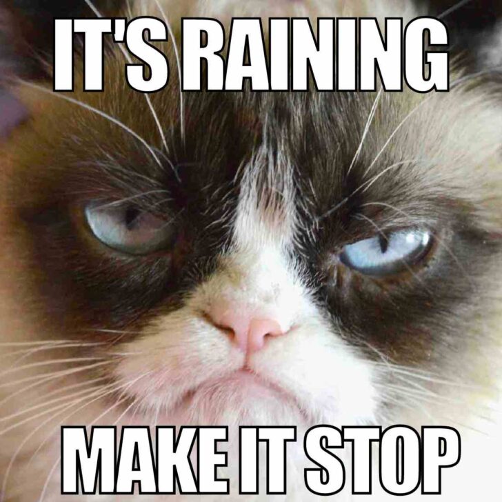 35 Funny Rain Memes And Images For Rainy Days 35 Funny Rain Memes And Images For Rainy Days
