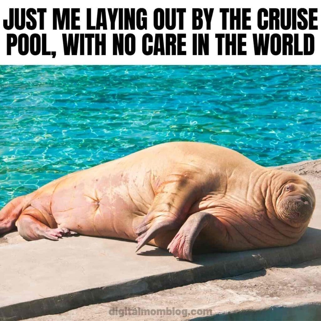 30 Funny Cruise Memes That Will Have You ROFL On High Seas