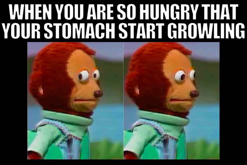 30 Funny Hungry Memes And Images For When You Need Food