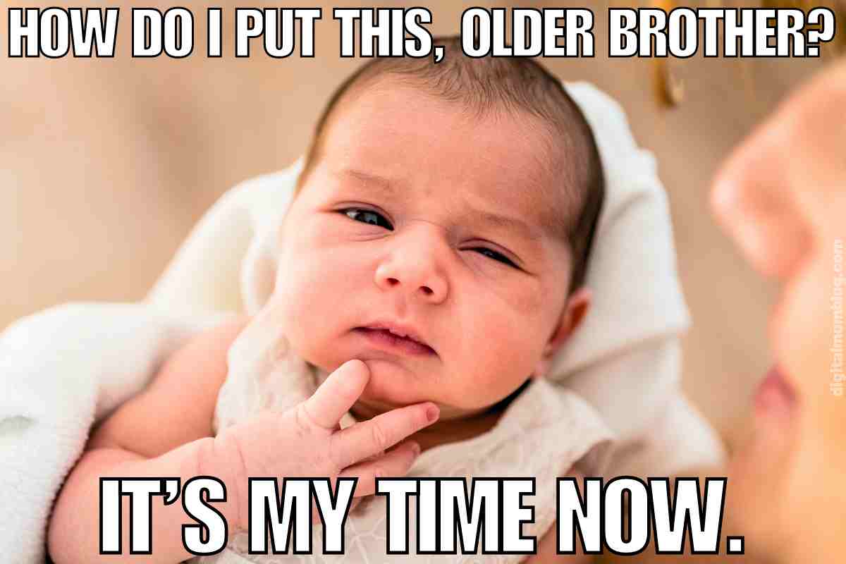 25 Best Brother Memes To Troll Your Sibling (or Laugh Together)