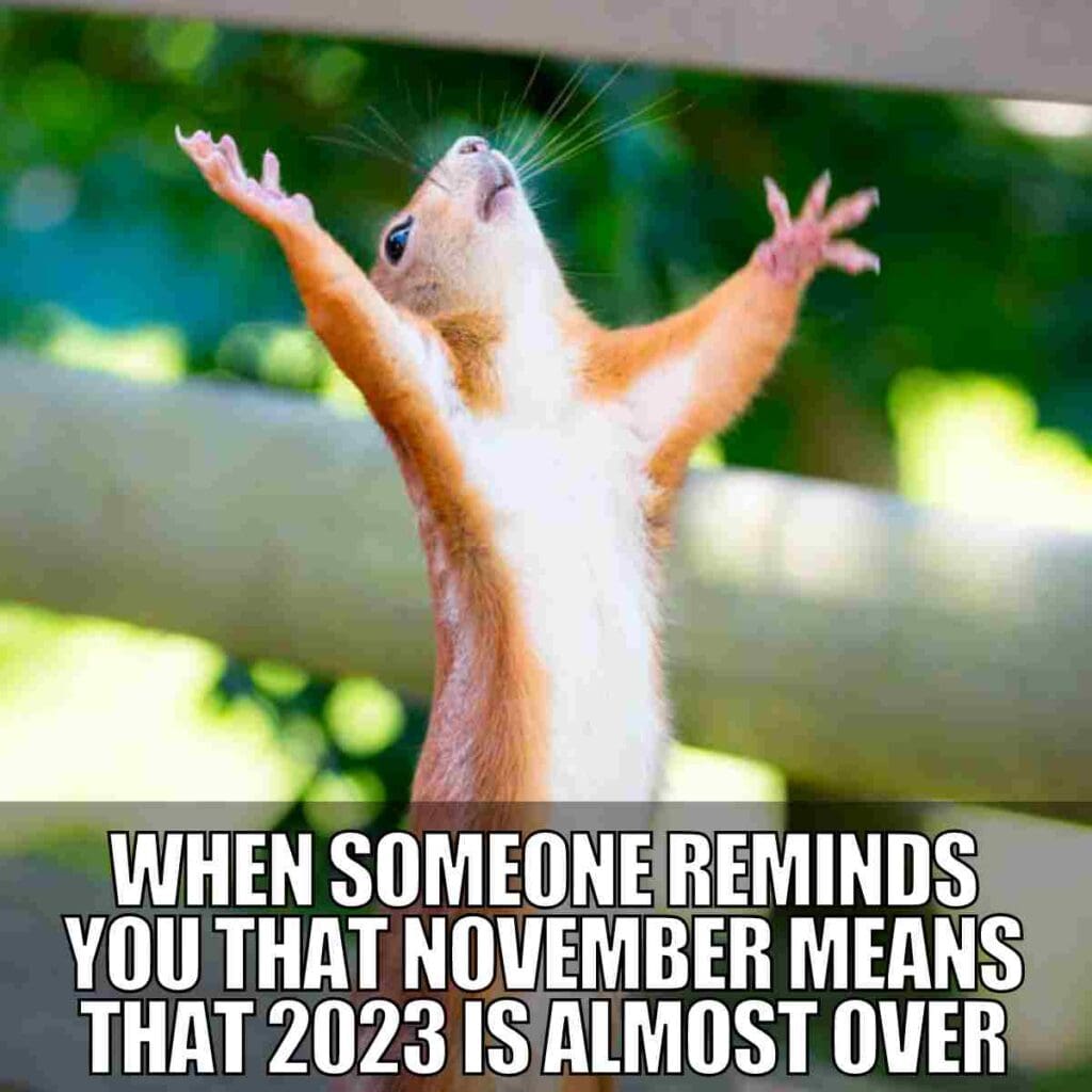 Best November Memes 2024: Celebrating Humor And Gratitude