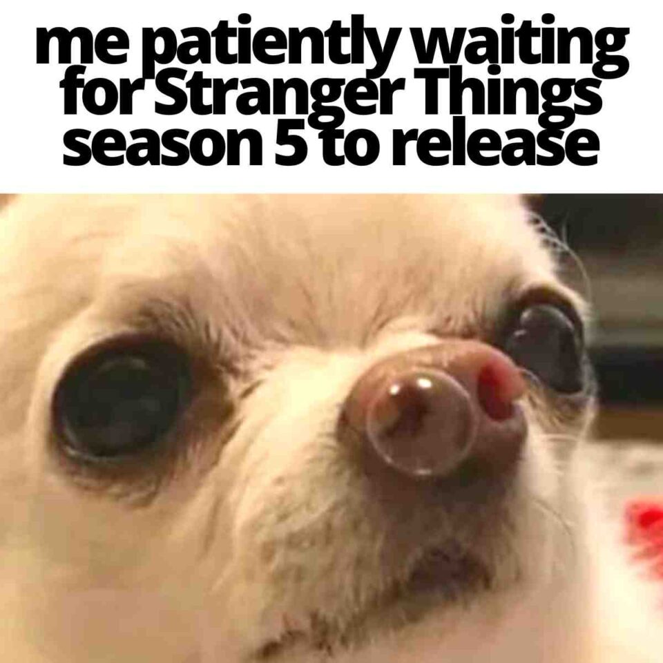 75 Stranger Things Memes That Perfectly Sum Up The Show