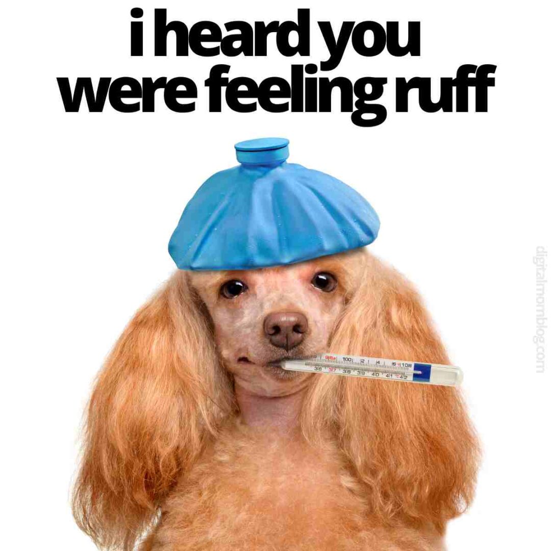 25 Sick Memes And Humor For The Ill And Not Feeling Well 25 Sick Memes And Humor For The Ill And Not Feeling Well