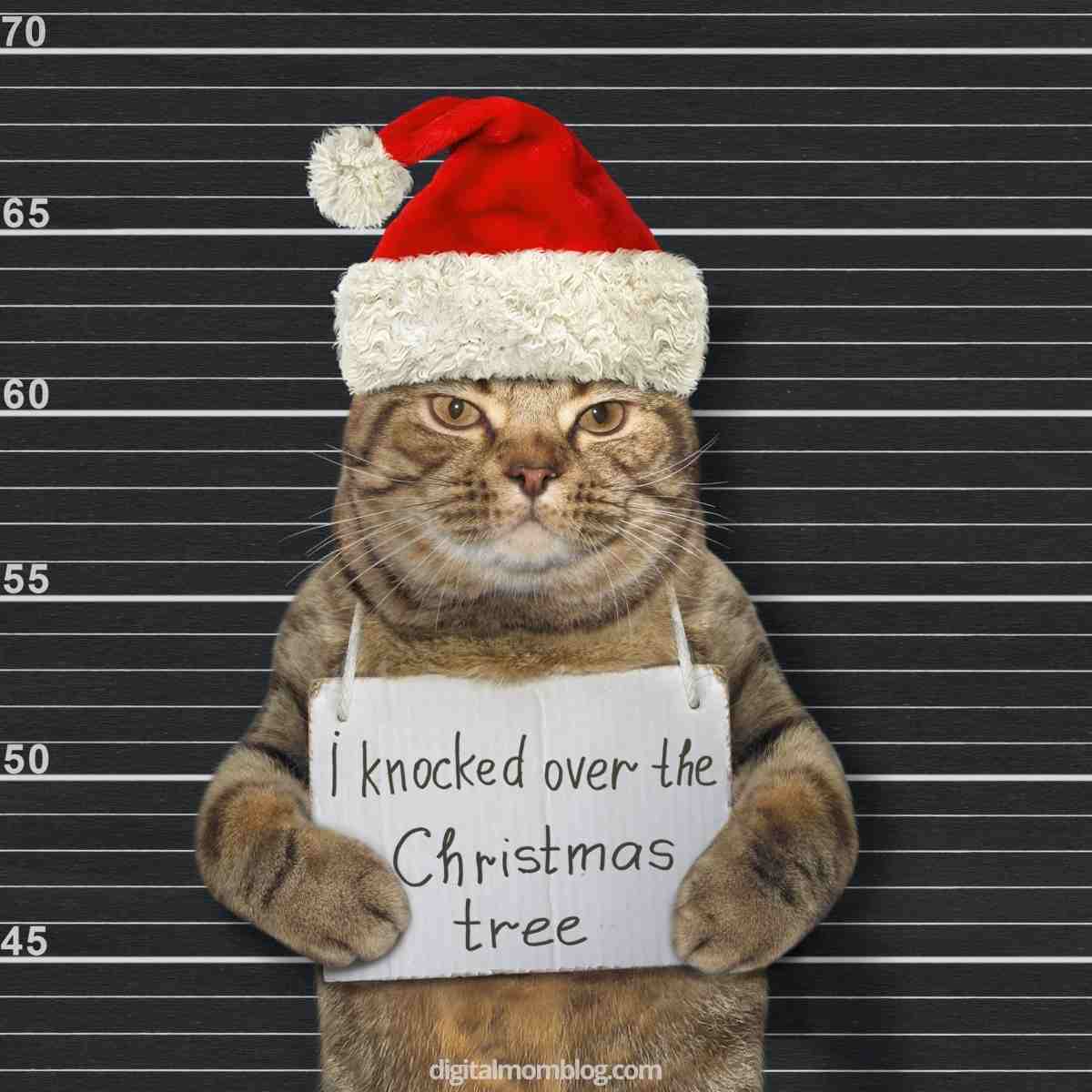 Funny Christmas Cat Graphic Tee – 'Knock Down Christmas Tree' Kitten Design, Women's Junior Top, 100% Cotton