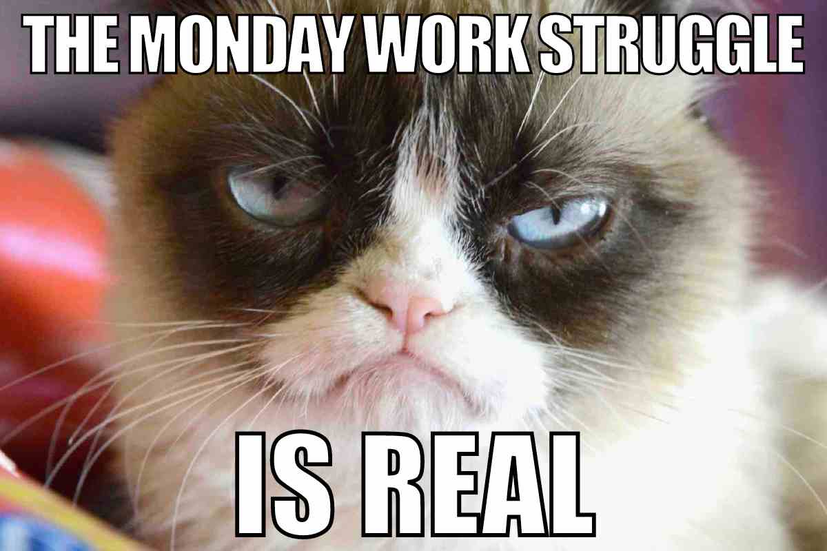 90 Hilarious Funny Work Memes To Share With Co Workers