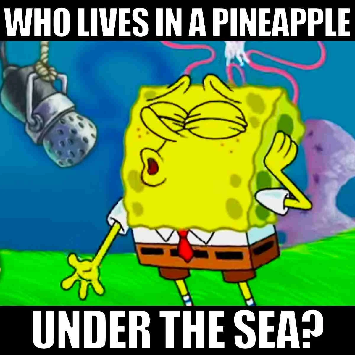50 Funny SpongeBob Memes And Interesting Facts 50 Funny SpongeBob Memes And Interesting Facts