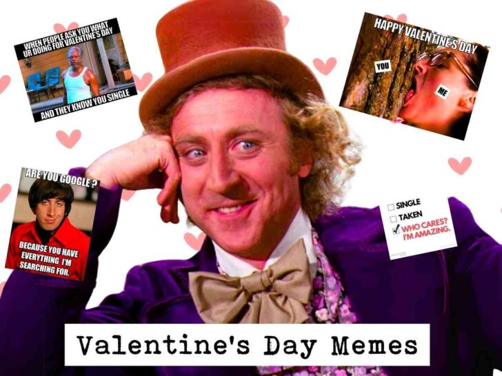 50 Hilarious Valentine Memes For Lovebirds And Singles Alike