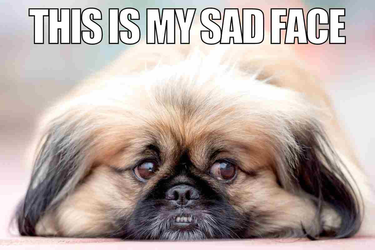 Dark Sad Face Meme At Sheila Creighton Blog Dark Sad Face Meme At Sheila Creighton Blog