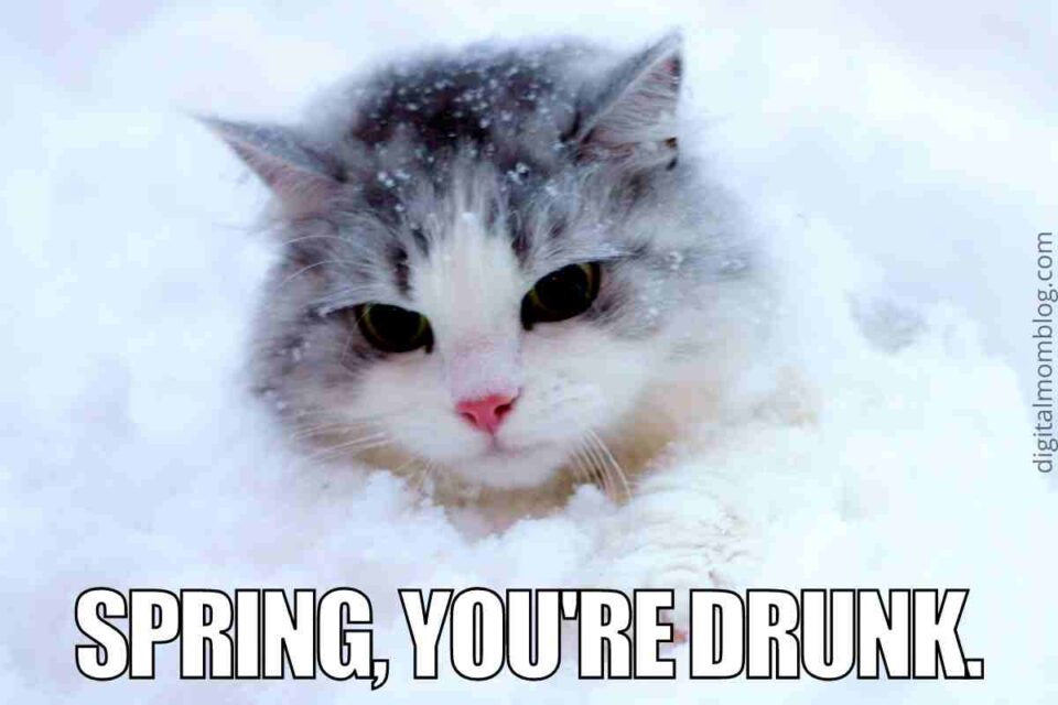 50 Hilarious Spring Memes To Have You Laughing All Season Long