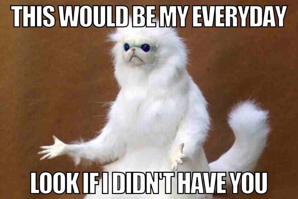 Best Administrative Professionals Day Memes For Sharing