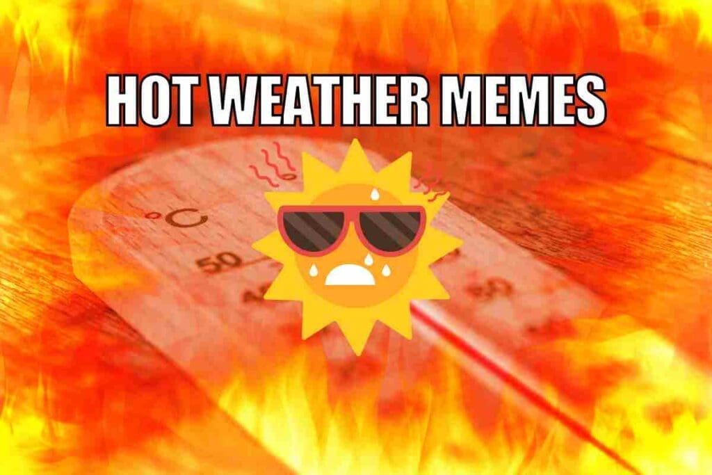 35 Sizzling Hot Weather Memes For Beating The Summer Heat 35 Sizzling Hot Weather Memes For Beating The Summer Heat