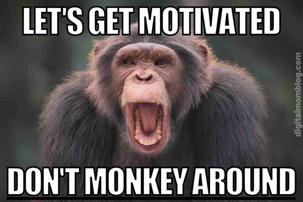 40 Best Motivation Memes To Help Inspire Your Hustle 40 Best Motivation Memes To Help Inspire Your Hustle