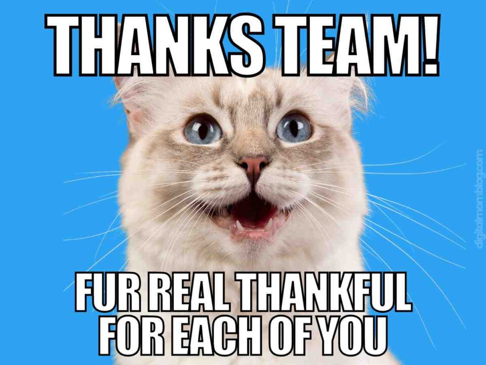 25 Thank You Memes That Speak Louder Than Sending A Card