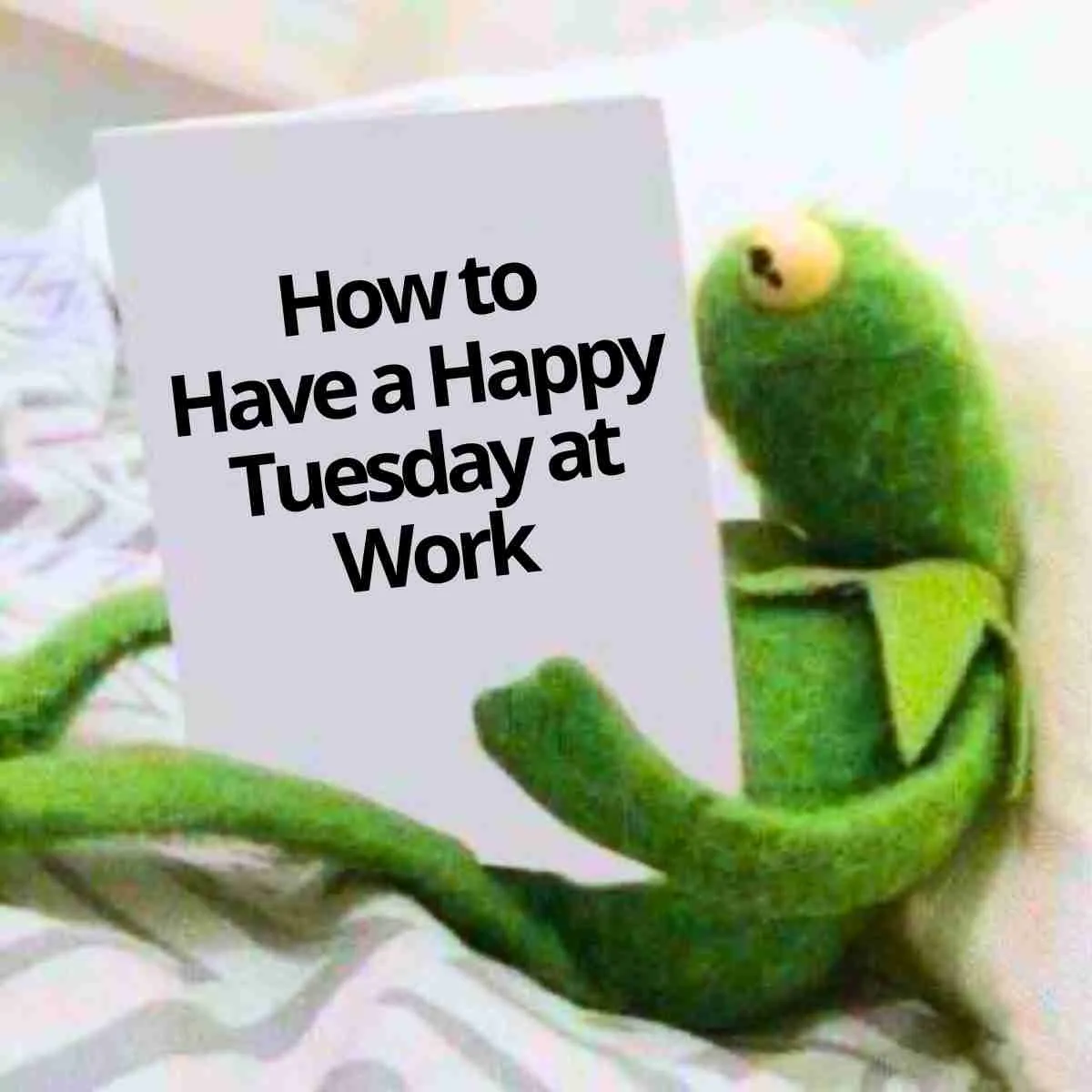 17 Happy Tuesday Memes And Images For A Great Day 17 Happy Tuesday Memes And Images For A Great Day
