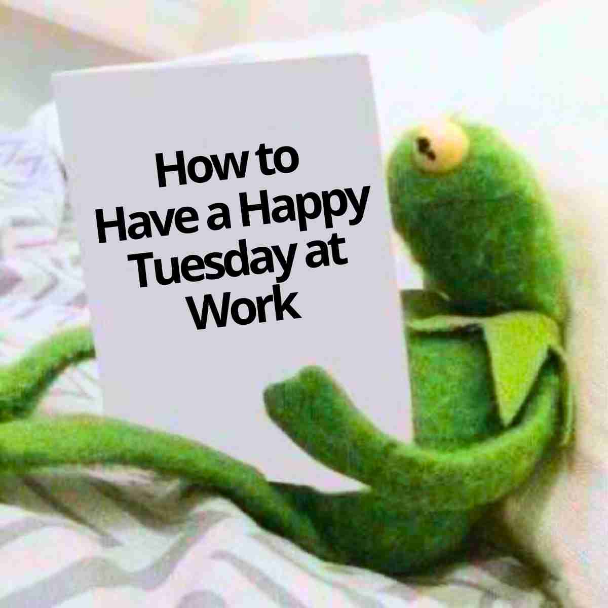 20 Happy Tuesday Memes And Images For A Great Day