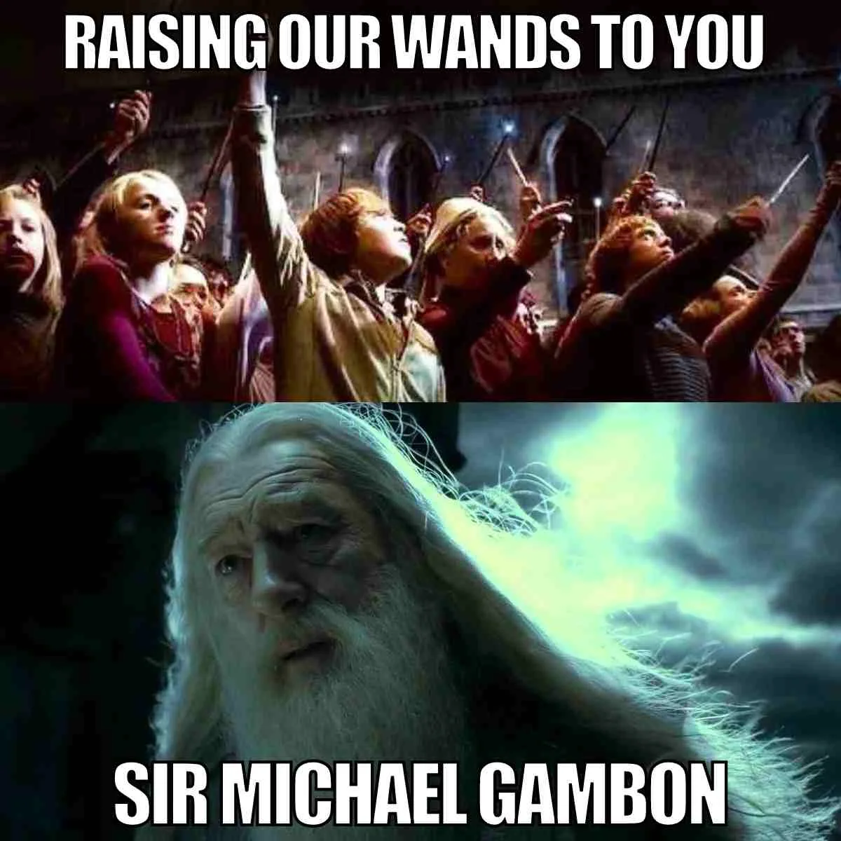 20 Magical Dumbledore Memes Humorous Tribute To Michael Gambon