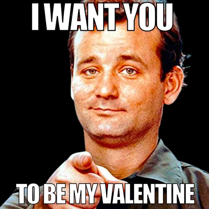 12 Best Memes To Ask Will You Be My Valentine