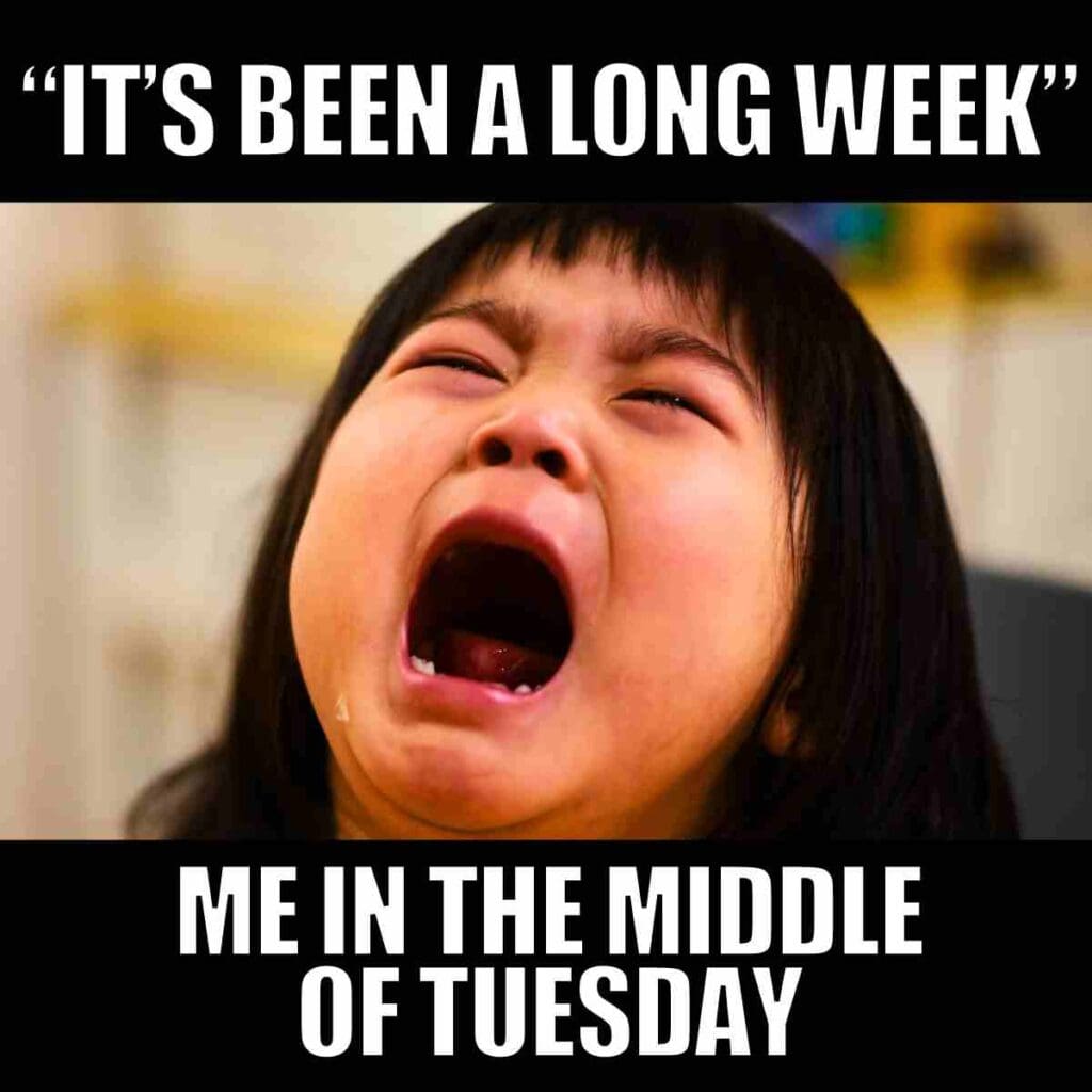 20+ Tuesday Work Memes To Get You Through The Grind