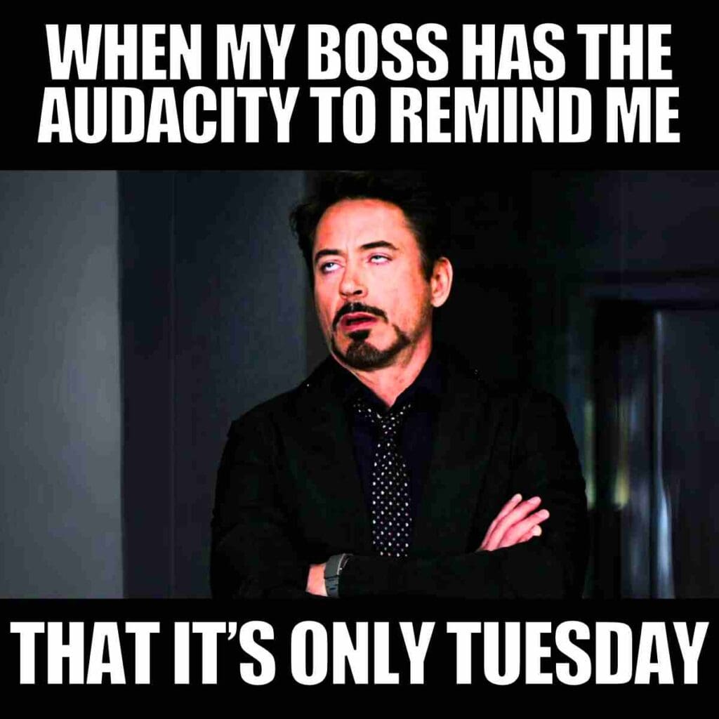 20 Hilarious Tuesday Work Memes That Hit Just Right 20 Hilarious Tuesday Work Memes That Hit Just Right
